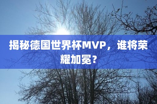 揭秘德国世界杯MVP，谁将荣耀加冕？漯河市盈旭机械设备有限公司