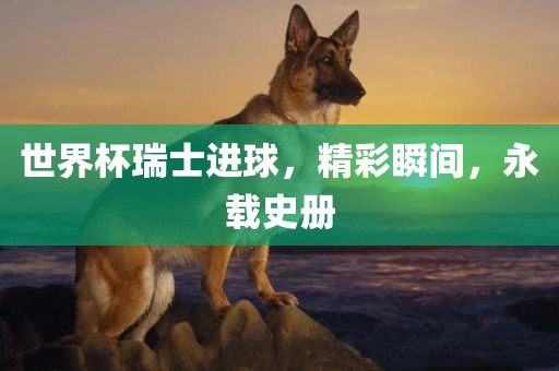 世界杯瑞士进球，精彩瞬间，永载史册