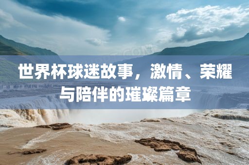 激情与荣耀 第4页