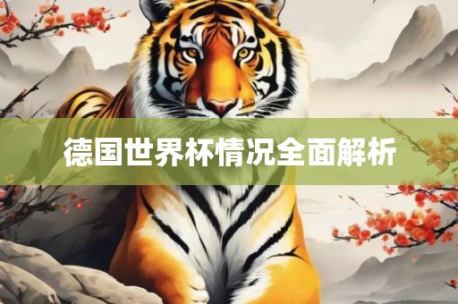 德国世界杯情况全面解析