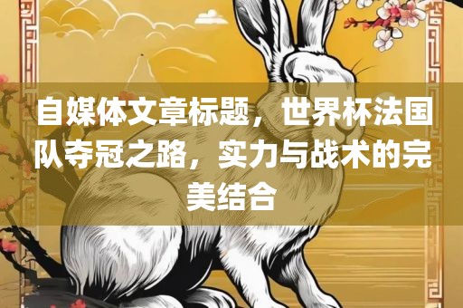 自媒体文章标题，世界杯法国队夺冠之路，实力与战术的完美结合