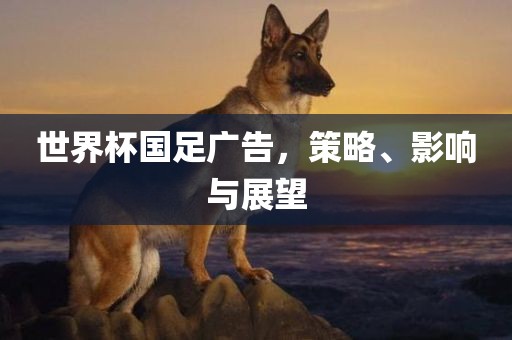 世界杯国足广告，策略、影响与展望