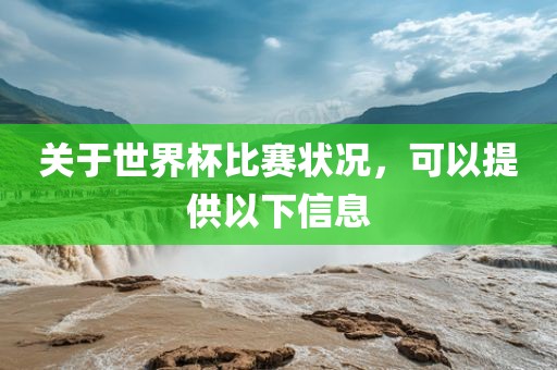 关于世界杯比赛状况，可以提供以下信息