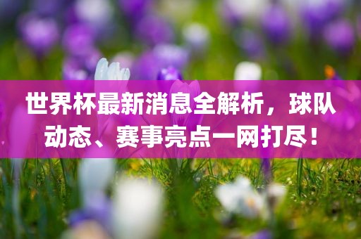 世界漯河市盈旭机械设备有限公司杯最新消息全解析，球队动态、赛事亮点一网打尽！