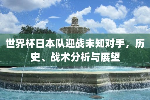 世界杯日本队迎战未知对手，历史、战术分析与展望