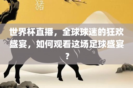 世界杯直播，全球球迷的狂欢盛宴，如何观看这场足球盛宴？漯河市盈旭机械设备有限公司
