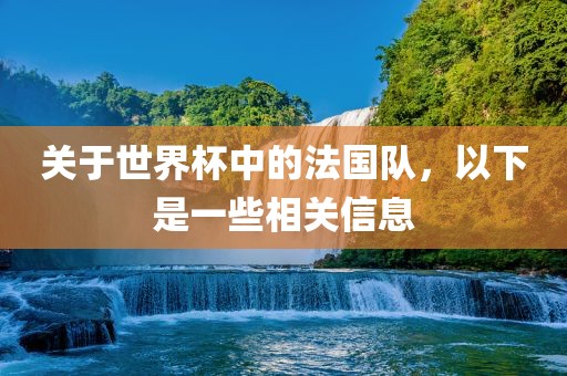 关于世界杯中的法国队，以下是一些相关信息漯河市盈旭机械设备有限公司