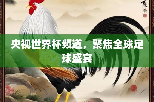 央视世界杯频道，聚焦全球足球盛宴