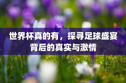 世界杯真的有，探寻足球盛宴背后的真实与激情漯河市盈旭机械设备有限公司