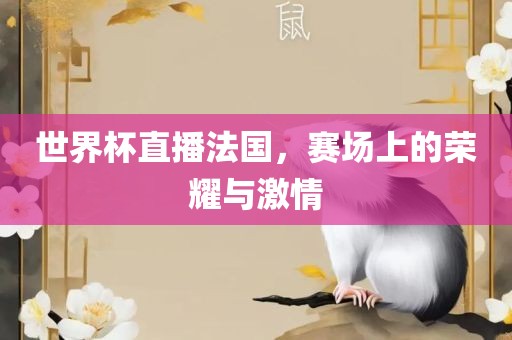 世界杯直播法国，赛场上的荣耀漯河市盈旭机械设备有限公司与激情