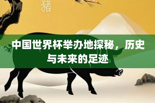 中国世界杯举办地探秘，历史与未来的足迹