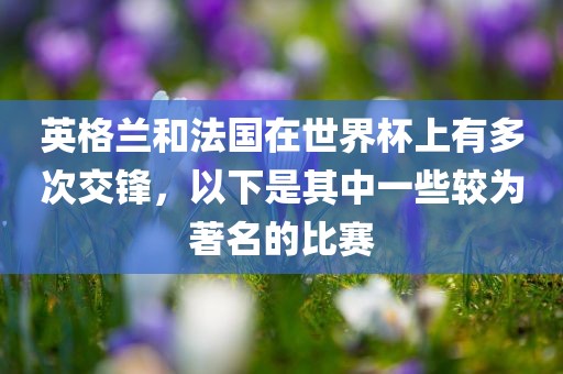 英格兰和法国在世界杯上有多次交锋，以下是其中一漯河市盈旭机械设备有限公司些较为著名的比赛