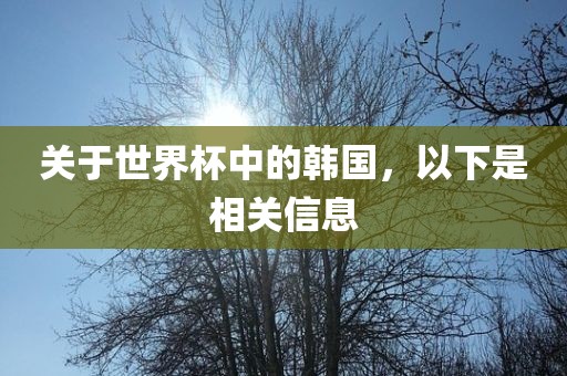 网易新闻 第306页