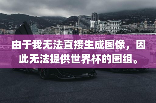 由于我无法直接生成图像，因此无法提供世界杯的图组。漯河市盈旭机械设备有限公司