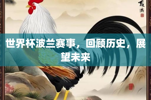 世界杯波兰赛事，回顾历史，展望未来