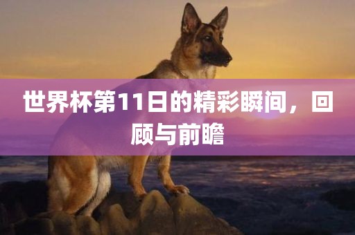 世界杯第11日的精彩瞬间，回顾与前瞻