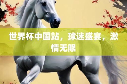 世界杯中国站，球迷盛宴，激情无限