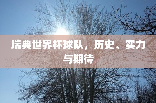瑞典世界杯球队，历史、实力与期待