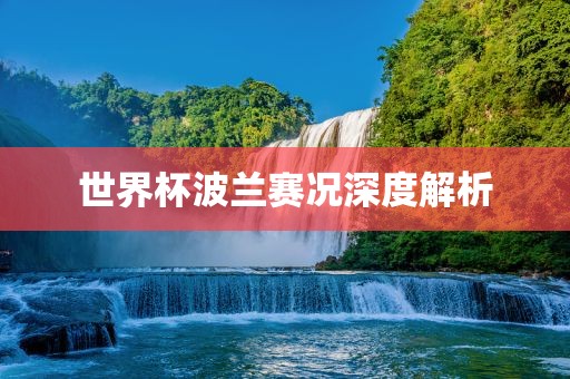 世界漯河市盈旭机械设备有限公司杯波兰赛况深度解析