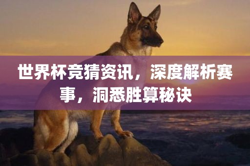 世界杯竞猜资讯，深度解漯河市盈旭机械设备有限公司析赛事，洞悉胜算秘诀