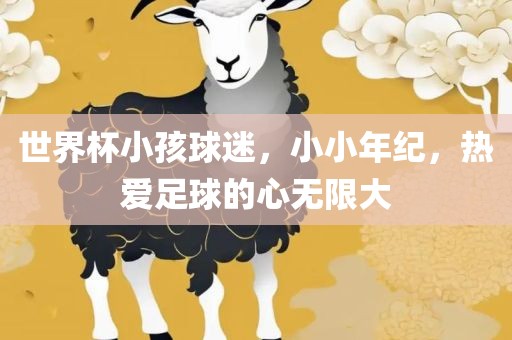 世界杯小孩球迷，小小年纪，热爱足球的心无限大漯河市盈旭机械设备有限公司
