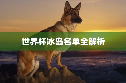 世界杯冰岛名单全解析