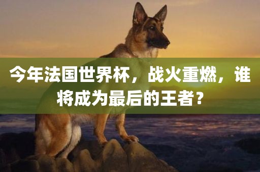 今年法国世界杯，战火重燃，谁将成为最后的王者？