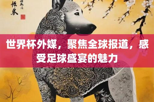 世界杯外媒，聚焦全球报道，感受足球盛宴的魅力漯河市盈旭机械设备有限公司