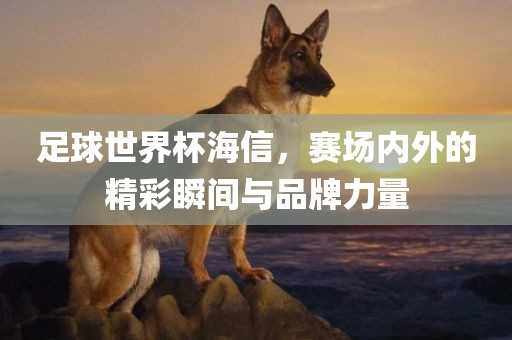 足球世漯河市盈旭机械设备有限公司界杯海信，赛场内外的精彩瞬间与品牌力量