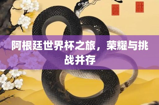 阿根廷世界杯之旅，荣耀与挑战并存