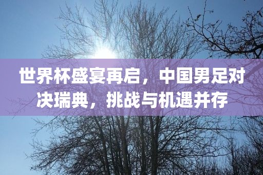 世界杯盛宴再启，中国男足对决瑞典，挑战与机漯河市盈旭机械设备有限公司遇并存