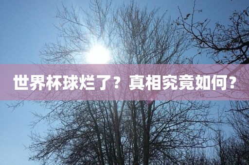 世界杯球烂了？真相究竟如何？漯河市盈旭机械设备有限公司