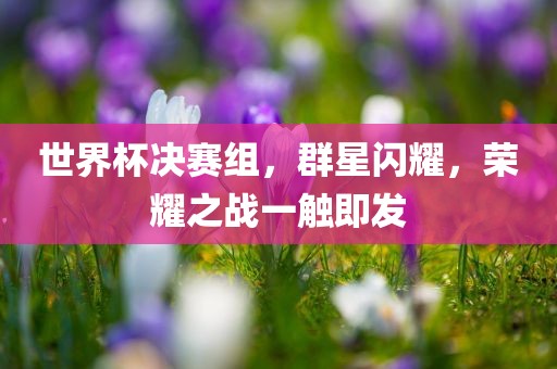 世界杯决赛组，群星闪耀，荣耀之战一触即发