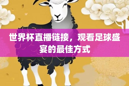 世界杯直播链接，观看足球盛宴的最佳方式漯河市盈旭机械设备有限公司