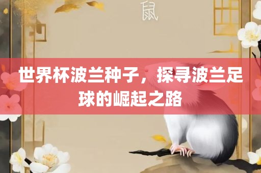 世界杯波兰种子，探寻波兰足球的崛起之路