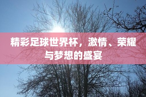 精彩足球世界杯，激情、荣耀与梦想的盛宴漯河市盈旭机械设备有限公司