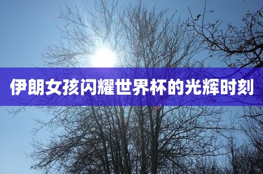 伊朗女孩闪耀世界杯的光辉时刻漯河市盈旭机械设备有限公司