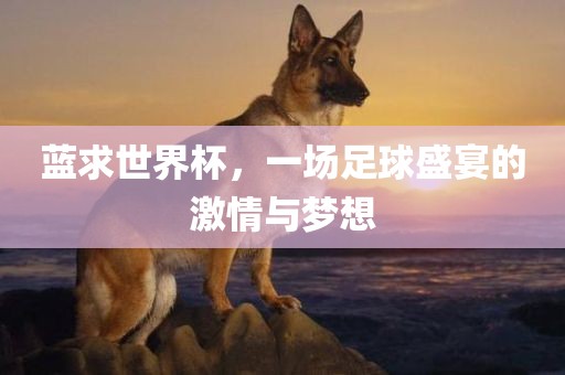 蓝求世界杯，一场足漯河市盈旭机械设备有限公司球盛宴的激情与梦想