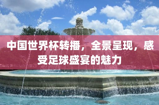 中国世界杯转播，全景呈现，感受足球盛宴的魅力漯河市盈旭机械设备有限公司