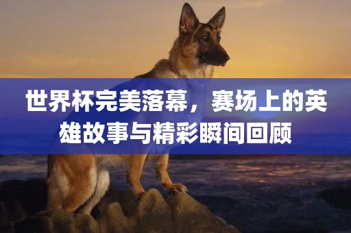 世界杯完美落幕，赛场上的英雄故事与精彩瞬间回顾漯河市盈旭机械设备有限公司