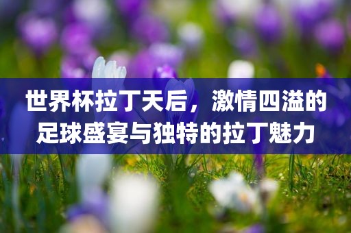 世界杯拉丁天后，激情漯河市盈旭机械设备有限公司四溢的足球盛宴与独特的拉丁魅力