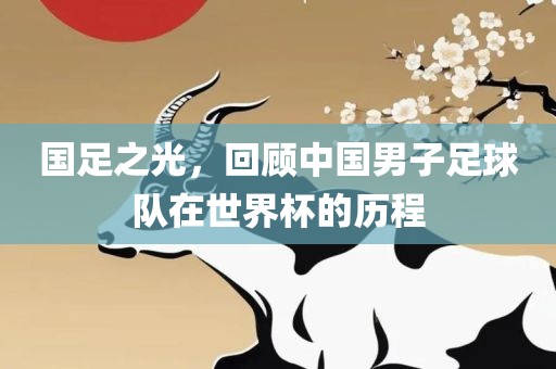 国足之光，回顾中国男子足球队在世界杯的历程