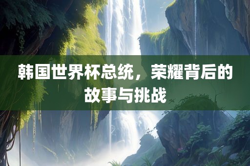 韩国世界杯总统，荣耀背后的故事与挑战