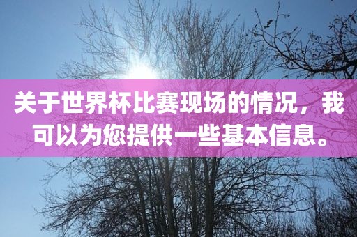 关于世界杯比赛现场的情况，我可以为您提供一些基本信息。漯河市盈旭机械设备有限公司