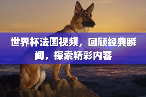 世界杯法国视频，回顾经典瞬间，探索精彩内容