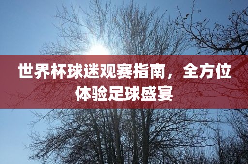 世界杯球迷观赛指南，全方位体验足球盛宴