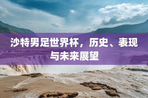 沙特男足世界杯，历史、表现与未来展望