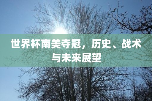 世界杯南美夺冠，历史、战术与未来展望