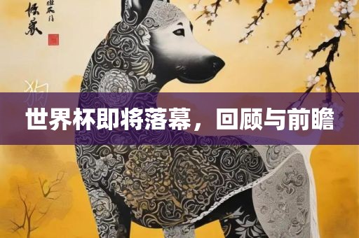 世界杯即将落幕，回顾与前瞻