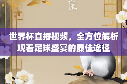 世界杯直播视频，全方位解析观看足球盛宴的最佳途径漯河市盈旭机械设备有限公司
